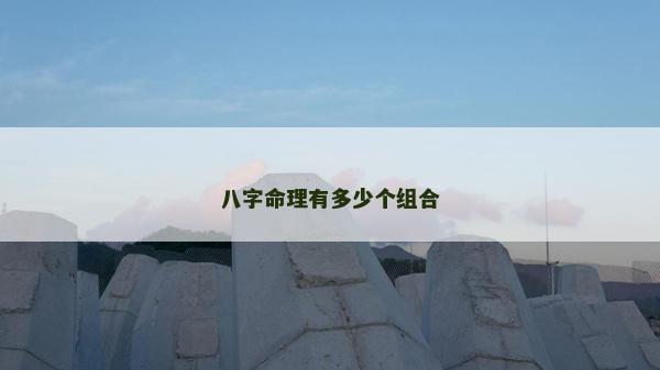 八字命理有多少個組合