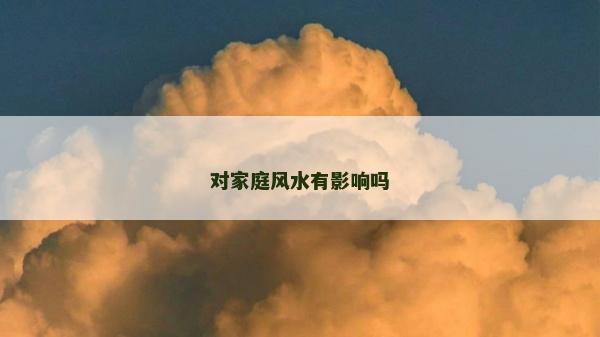 對(duì)家庭風(fēng)水有影響嗎
