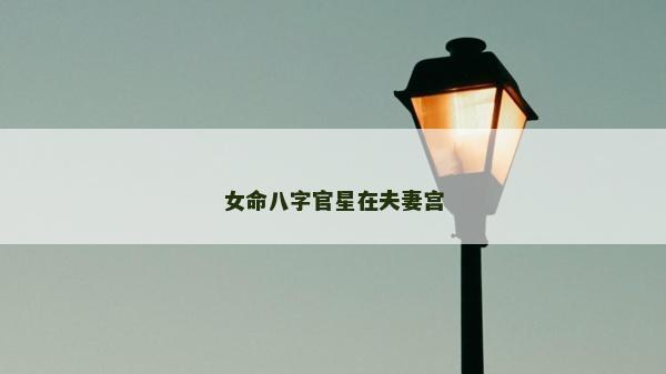 女命八字官星在夫妻宮