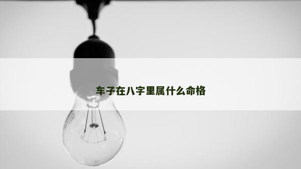 車子在八字里屬什么命格