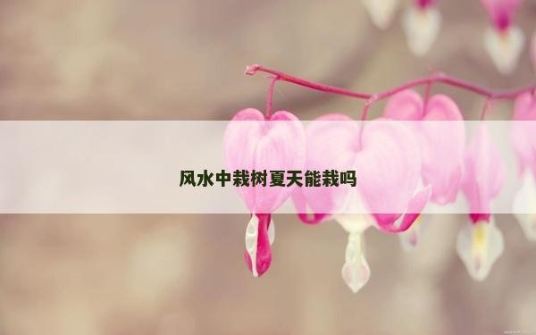 風水中栽樹夏天能栽嗎