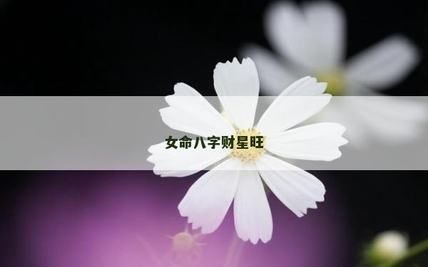 女命八字財星旺