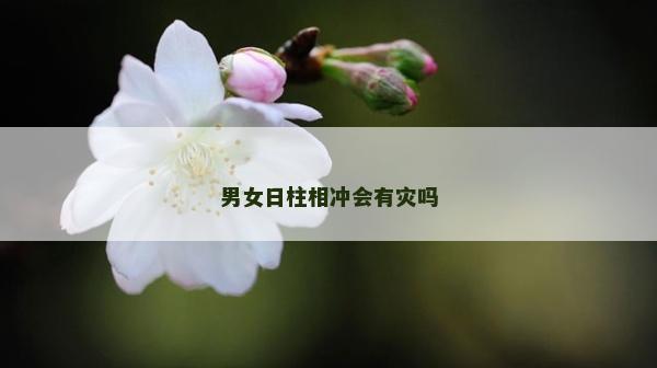 男女日柱相沖會有災嗎