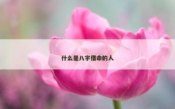 什么是八字借命的人