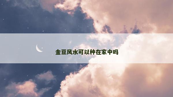 金豆風水可以種在家中嗎