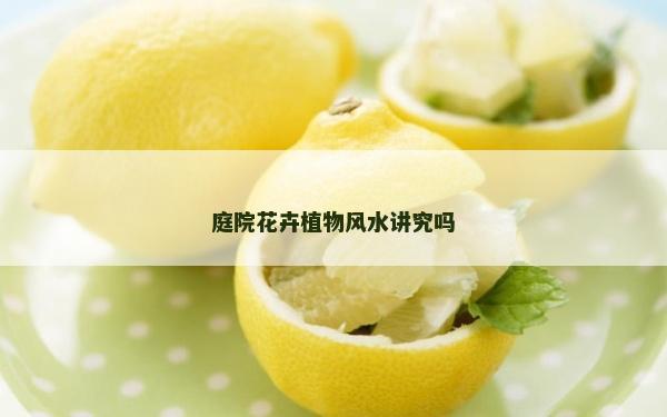 庭院花卉植物風水講究嗎