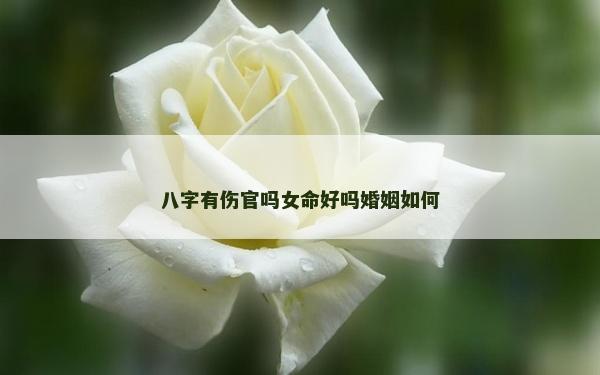 八字有傷官嗎女命好嗎婚姻如何