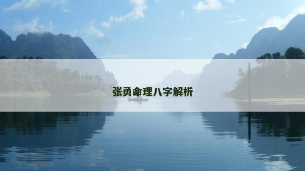 張勇命理八字解析