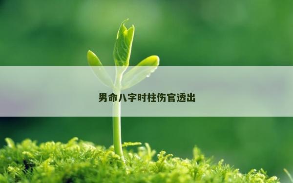男命八字時(shí)柱傷官透出