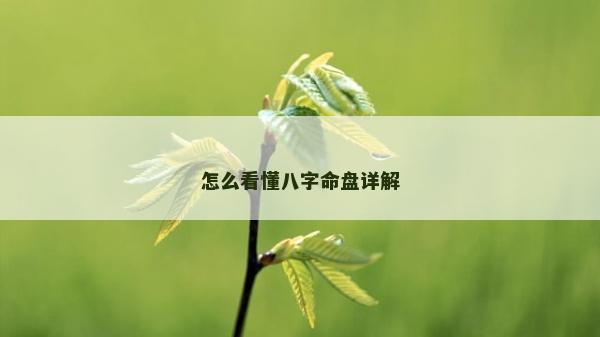 怎么看懂八字命盤詳解 怎么看懂八字命盤詳解