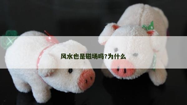 風(fēng)水也是磁場嗎?為什么