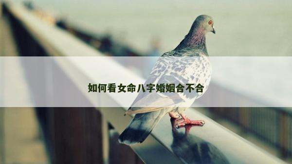 如何看女命八字婚姻合不合