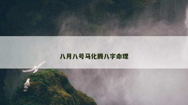 八月八號馬化騰八字命理