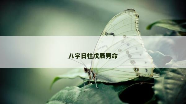 八字日柱戊辰男命