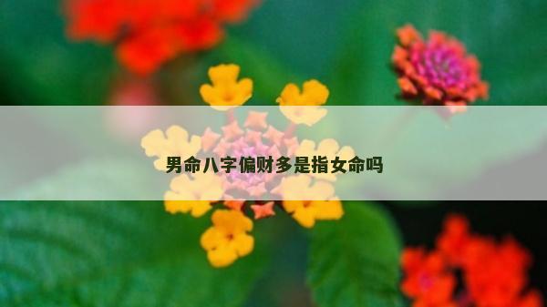 男命八字偏財多是指女命嗎