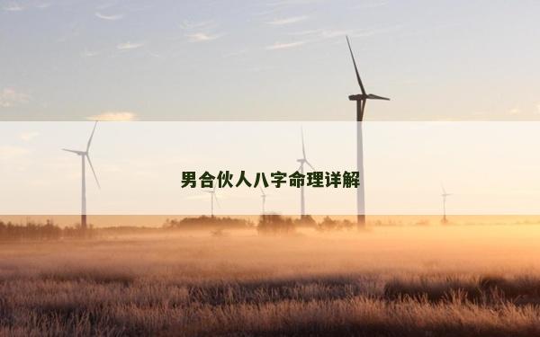 男合伙人八字命理詳解
