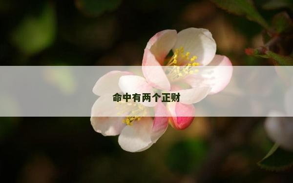 命中有兩個正財