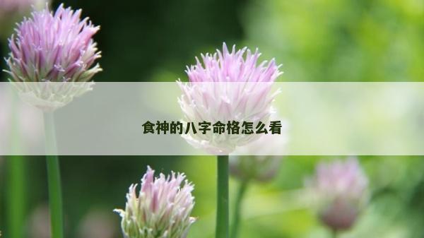 食神的八字命格怎么看