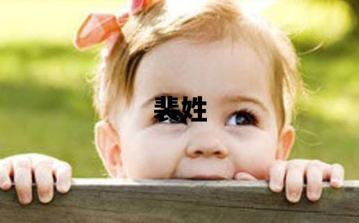裴姓大氣文雅的女孩名字,取什么名字好