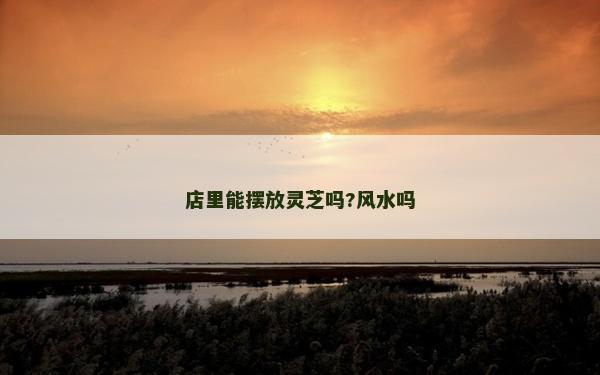 店里能擺放靈芝嗎?風水嗎 店里能擺放靈芝嗎?風水嗎