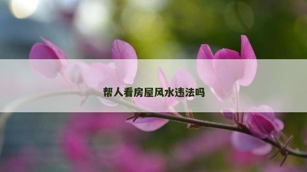 幫人看房屋風水違法嗎