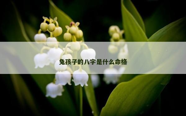 兔孩子的八字是什么命格