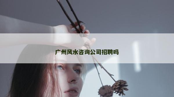 廣州風(fēng)水咨詢公司招聘嗎