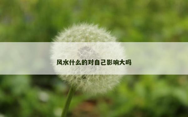 風水什么的對自己影響大嗎