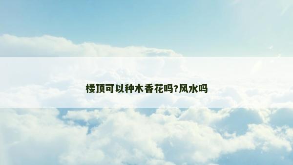 樓頂可以種木香花嗎?風水嗎 樓頂可以種木香花嗎?風水嗎