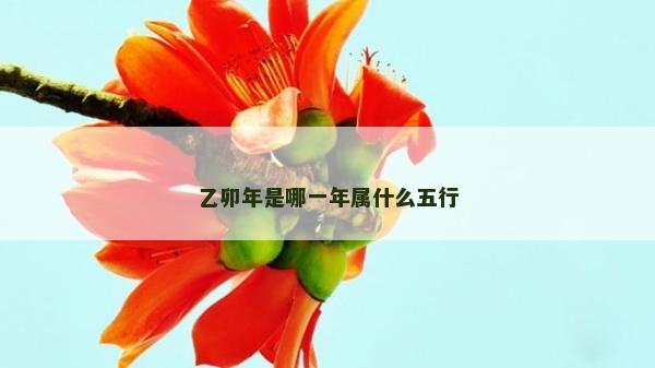 乙卯年是哪一年屬什么五行