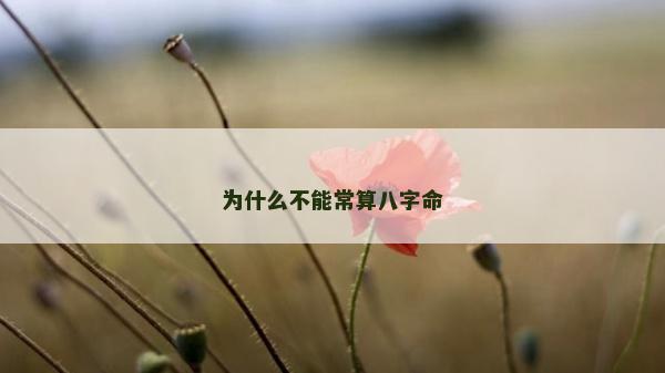 為什么不能常算八字命