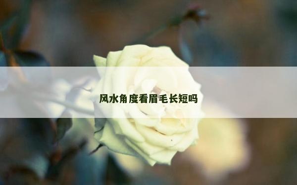 風(fēng)水角度看眉毛長(zhǎng)短嗎