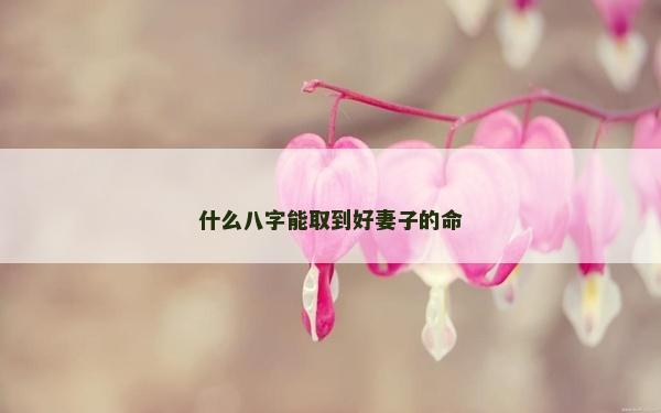 什么八字能取到好妻子的命 什么八字能取到好妻子的命