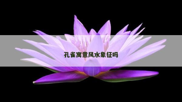孔雀寓意風(fēng)水象征嗎