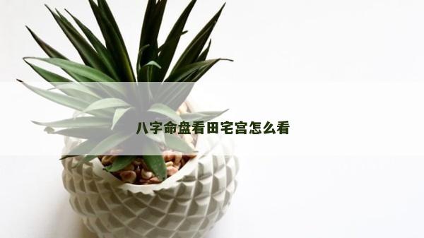 八字命盤看田宅宮怎么看