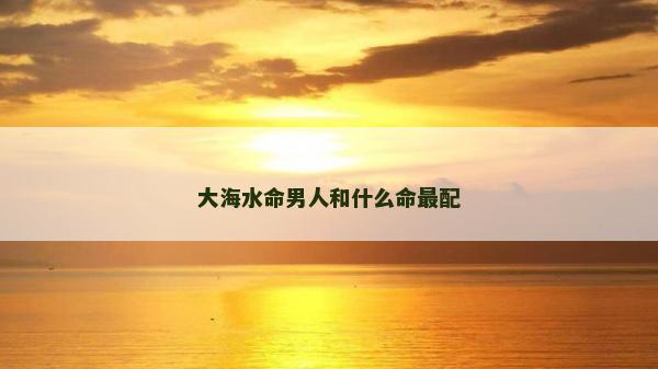 大海水命男人和什么命最配
