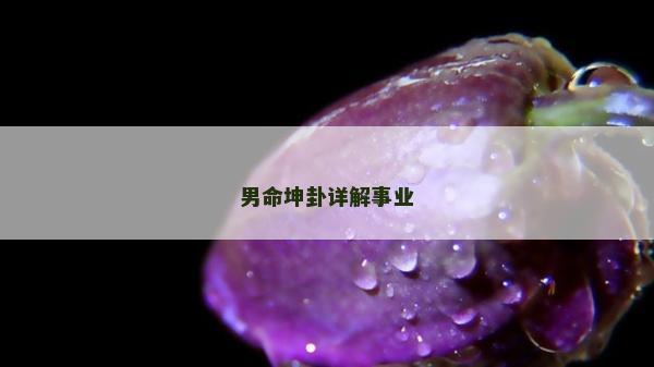 男命坤卦詳解事業