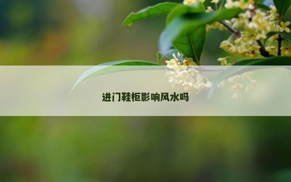進(jìn)門鞋柜影響風(fēng)水嗎