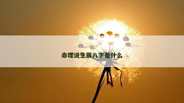 命理說生辰八字是什么