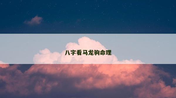 八字看馬龍駒命理