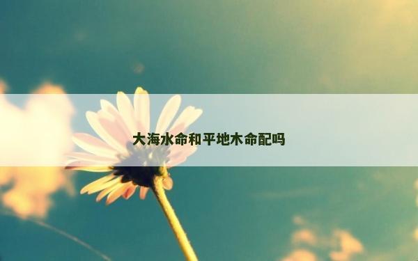 大海水命和平地木命配嗎