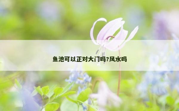 魚池可以正對大門嗎?風(fēng)水嗎