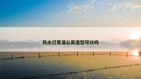風水燈用蒲公英造型可以嗎