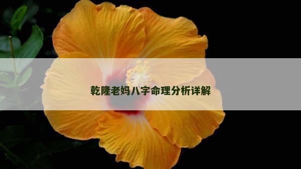 乾隆老媽八字命理分析詳解