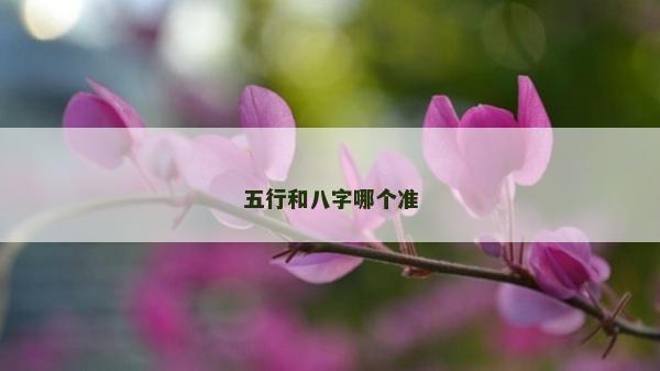五行和八字哪個(gè)準(zhǔn)