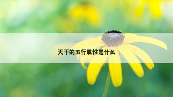 天干的五行屬性是什么