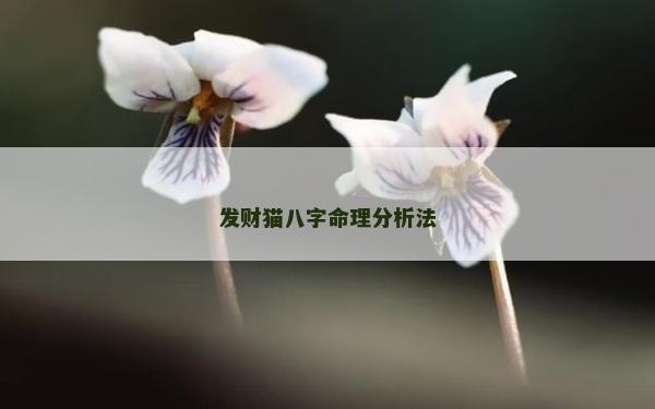 發財貓八字命理分析法