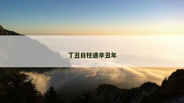 丁丑日柱遇辛丑年