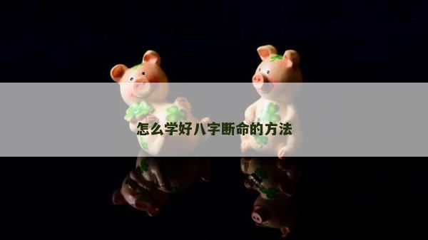 怎么學好八字斷命的方法