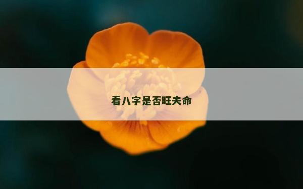 看八字是否旺夫命